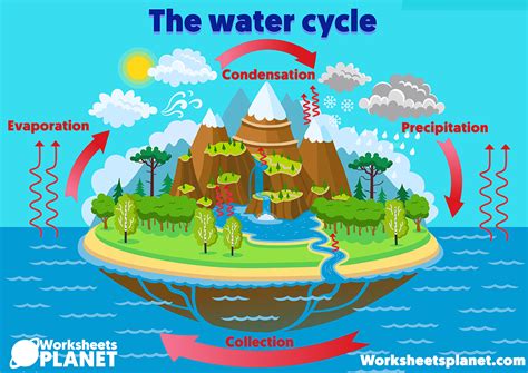 water cycle educational video for kids