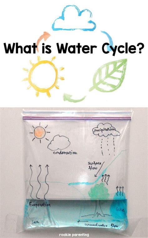 water cycle experiment for kid