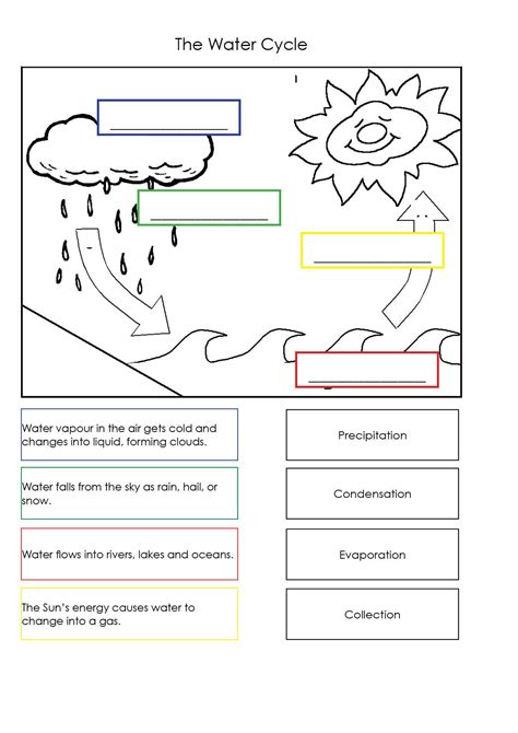 water cycle fill in worksheet