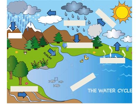 water cycle for 3rd grade pics
