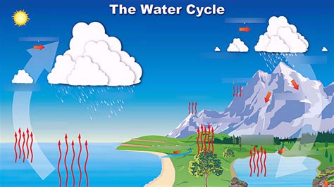 water cycle for 4th grade