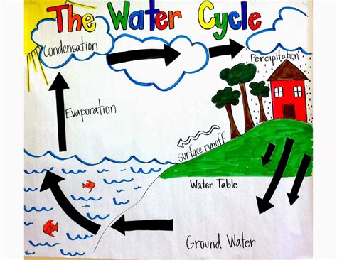 water cycle grade 4 poster