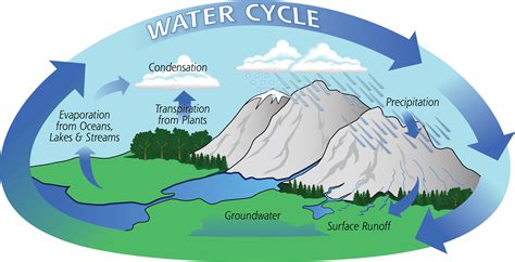 water cycle grade 8 science