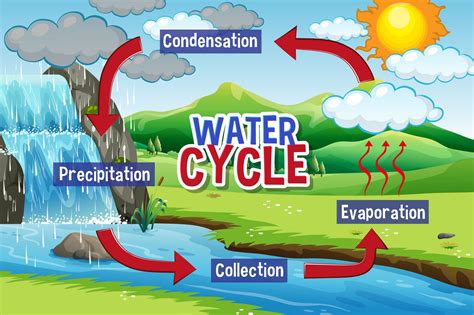 water cycle hd images