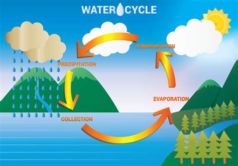 water cycle images free download