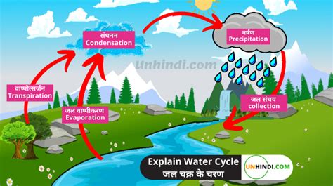 water cycle in hindi class 9