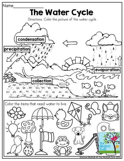 water cycle interactive activity