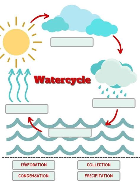 water cycle lesson plan for kindergarten