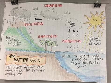 water cycle notes