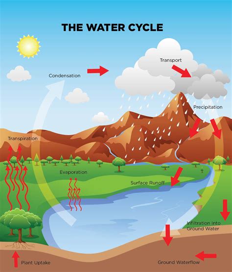 water cycle picture