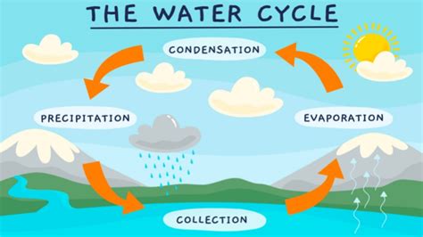 water cycle process step by step