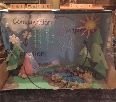 water cycle project 4th grade