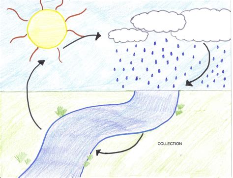 water cycle with collection