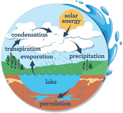 water cycle with labels