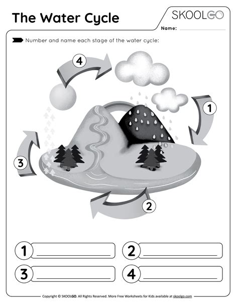 water cycle worksheet for grade 1