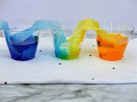 water experiment for kids