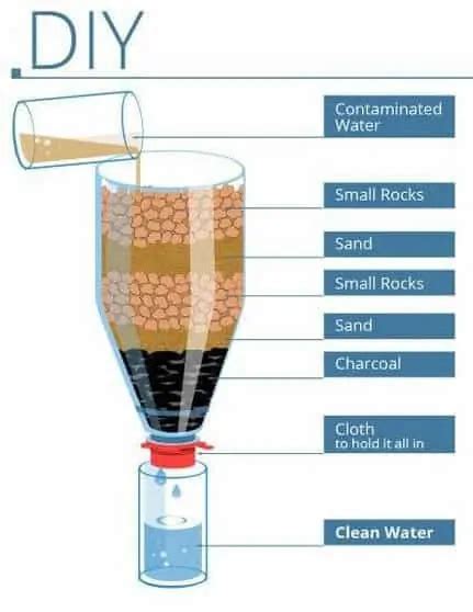 Water Filtration In The Wild