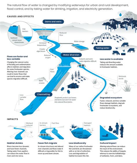 Water Flow Infographic
