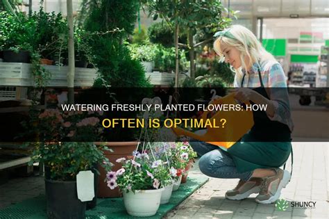 Water Flowers How Often