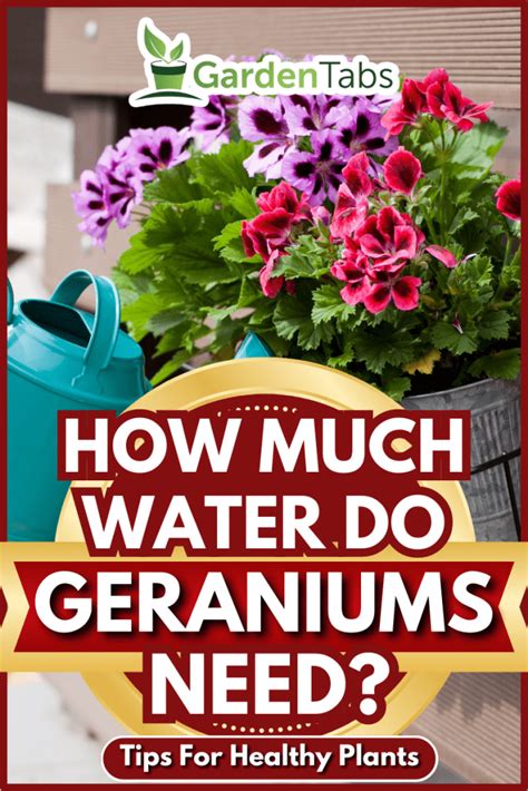 Water Geraniums