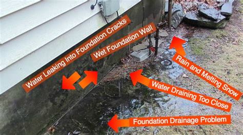 water leaking from foundation