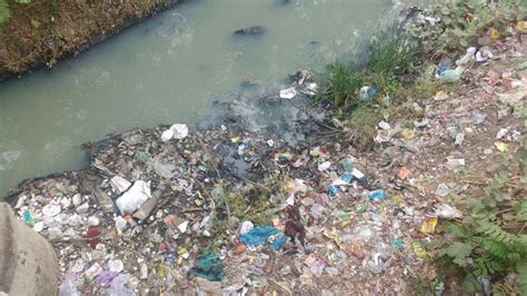 water pollution in gujarat