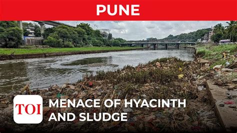 water pollution in pune