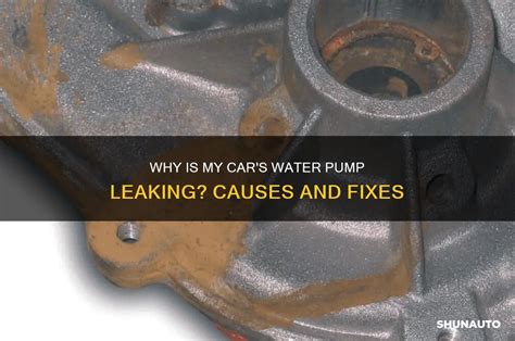 Water Pump Leaking Car Onlyfans Mega #856