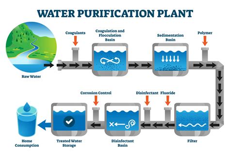 Water Purification Process Gcse