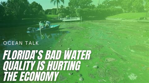 Water Quality Issues In Florida
