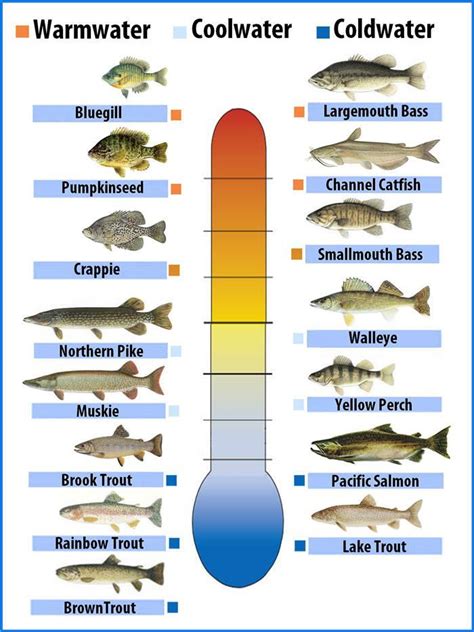 water temperature fishing