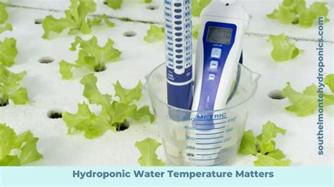 Water Temperature Of Hydroponic