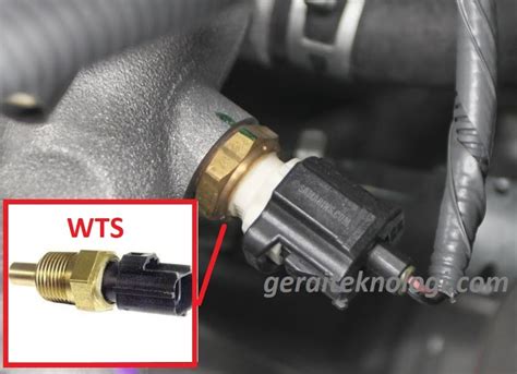 Water Temperature Sensor Efi