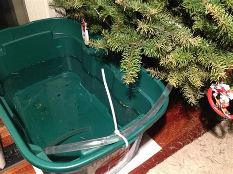 Water Xmas Tree While Away