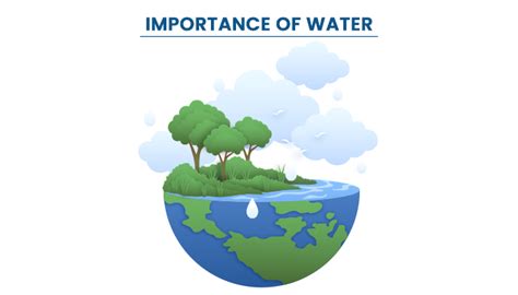 Water Importance Image