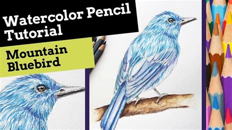Watercolor Pencil Bird Tutorial