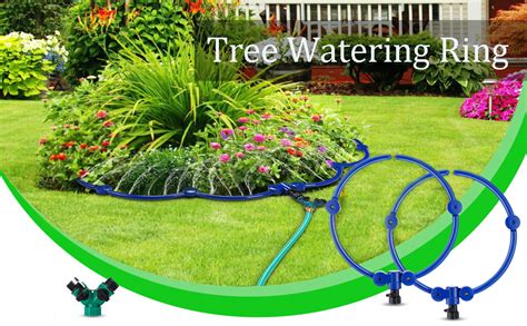 Watering System For Tree Ferns