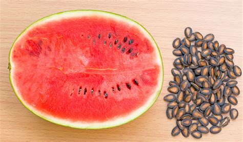 Watermelon Seed Video