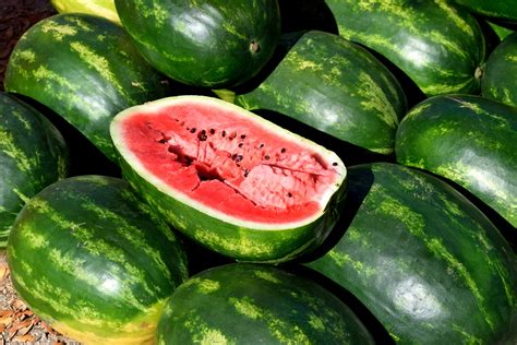 watermelons