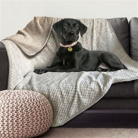 Waterproof Dog Throw