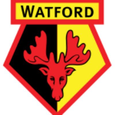 watford fc twitter page