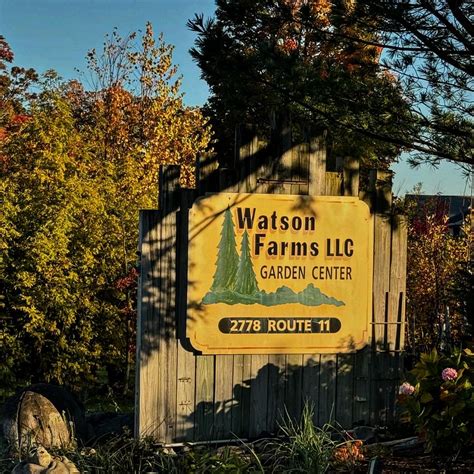 Watson Farms Llc