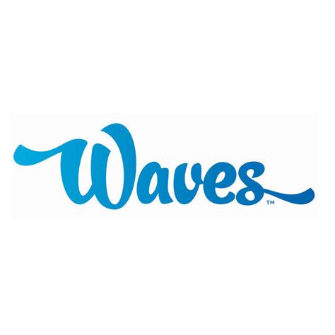 Wave Wash Franchise