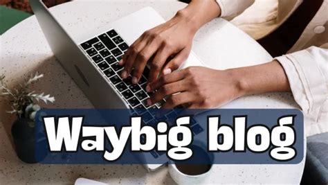 waybig blog