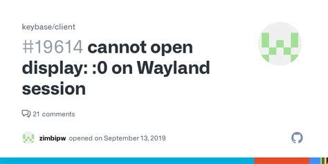 Wayland Cannot Open Display 0