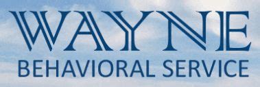 wayne behavioral service