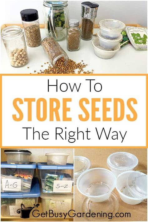 Seed Storage The Best Way to Store & Organize Garden Seeds Homestead