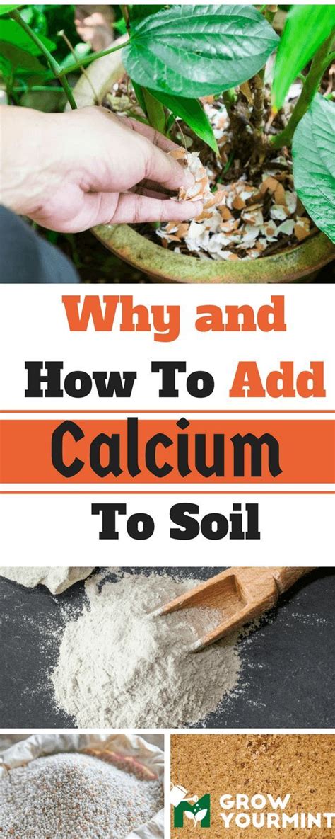 how to add calcium to soil Soil
