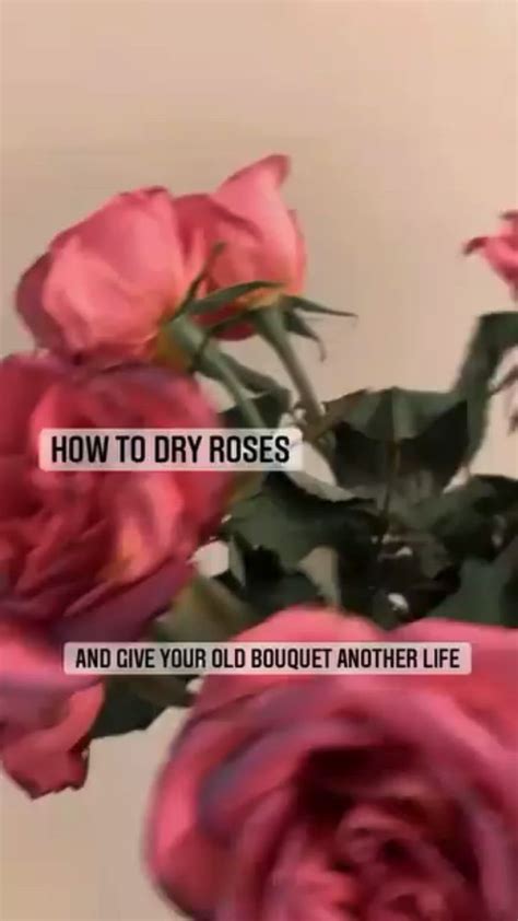 Ways To Keep Old Flowers