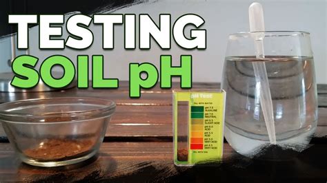 Ways To Test Soil Ph